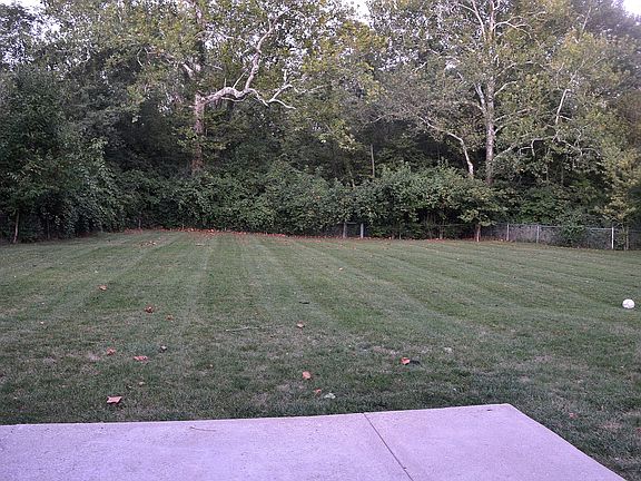 Large backyard