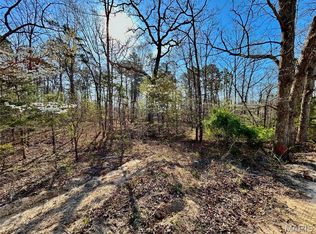 0 Tract County Rd #1-6570, Salem, MO 65560