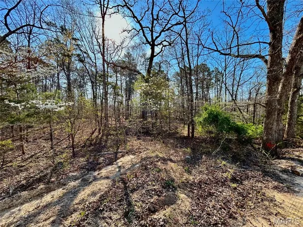 0 Tract County Rd #1-6570, Salem, MO 65560