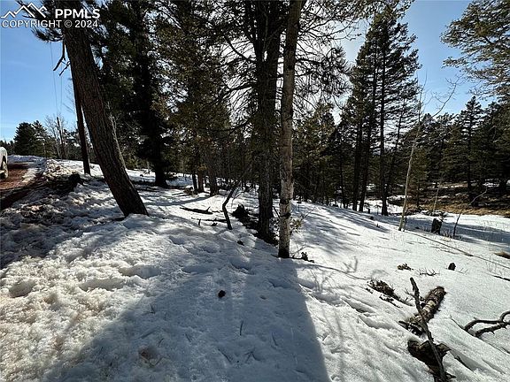 3rd image of 574 Donzi Trl