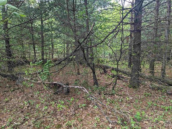 5th image of 3127AC County Hwy E
