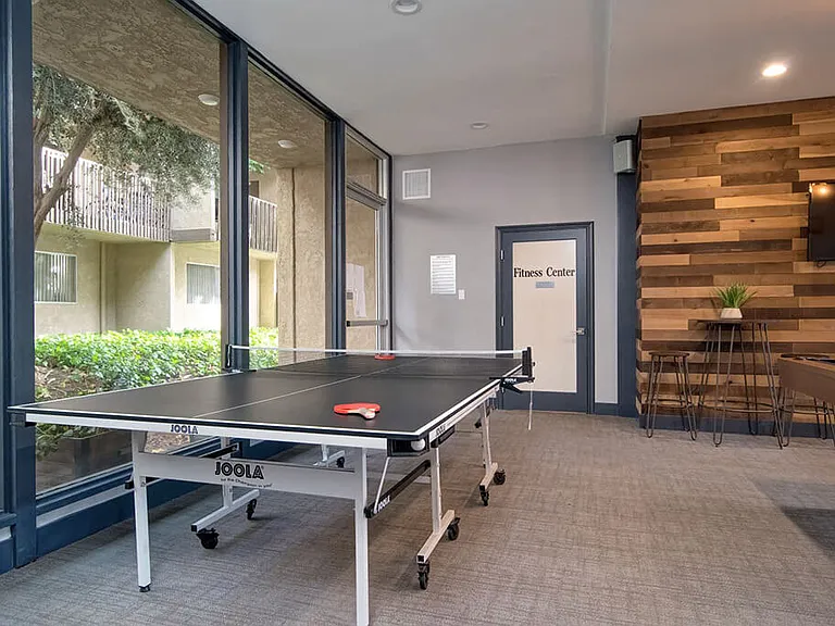 Table tennis is a lot of fun for everyone!