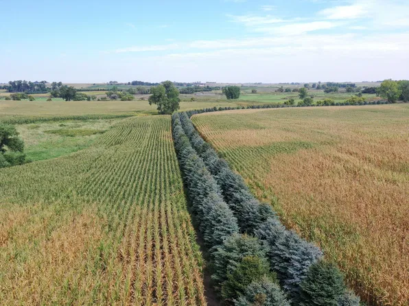 NE Sec 25 #T108n-r51w, Rutland, SD 57050