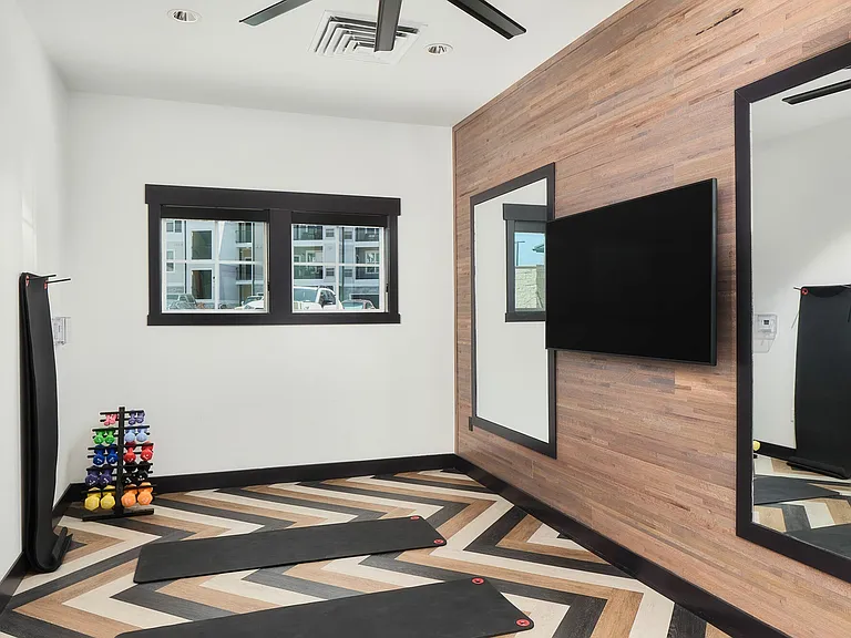 The-Lark-Dog-Spa-Fitness-Room-008