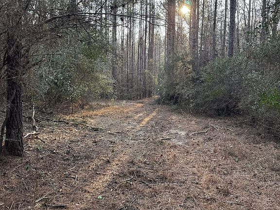 Photo Feb 13 2026 4 16 27 Pm