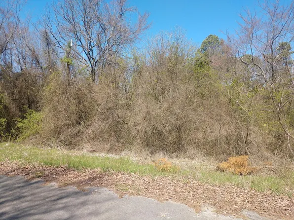 0 Killdee, Batesville, AR 72501