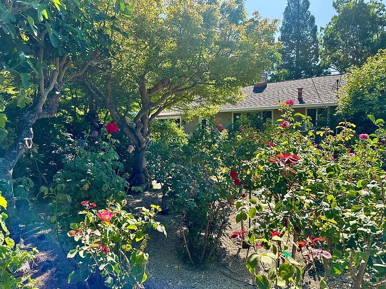 134 Vista Del Campo — Photo 18