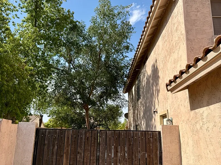 1273 W Swan Ct — Photo 32