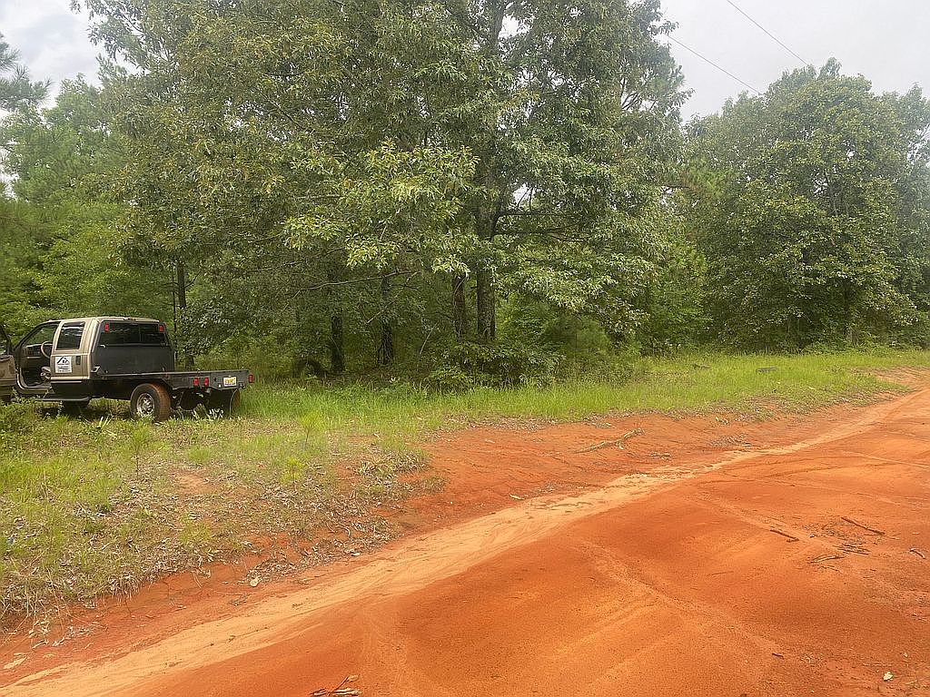 127 Dalmation Dr, Mauk, GA 31058 Zillow