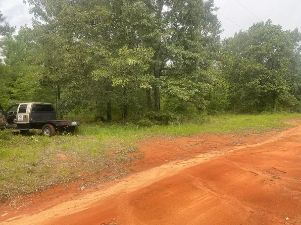 127 Dalmation Dr, Mauk, GA 31058