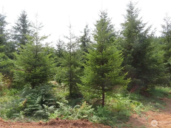 0 Lot D Mill Creek Lane, Longview, WA 98632