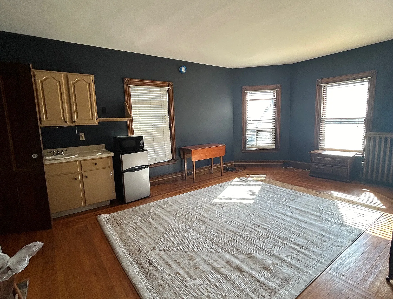 Studio, 250 sqft, $895 — Photo 3