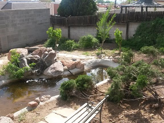 Fish Pond with waterfall