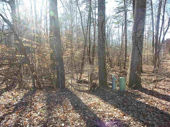 3rd image of 343-345 347 Woodsong Dr