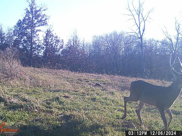 0 Pike 132, Bowling Green, MO 63334