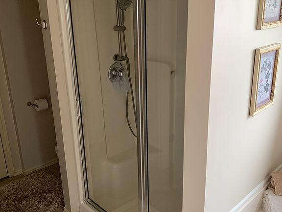 Master walk-in shower