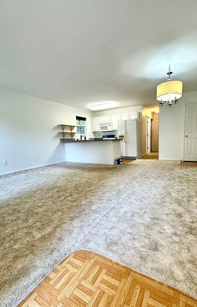 2 bed, 1.0 bath, $1,500 — Photo 4