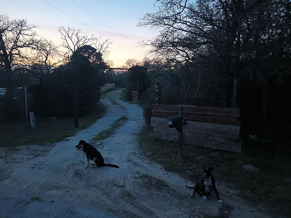 Nope, Dogs do not convey