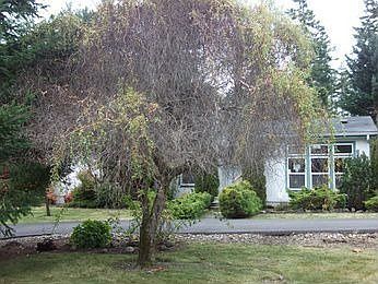 1st image of 2810 205th Ave SW