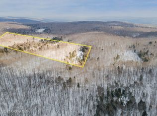 L64 Plank Rd, Porter Corners, NY 12859