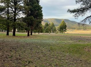 18 County Road 2063, Alpine, AZ 85920