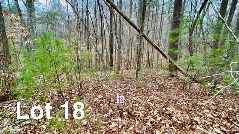 1st image of 18 Woods Haven Ln