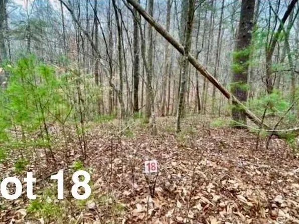 18 Woods Haven Ln, Stuart, VA 24171