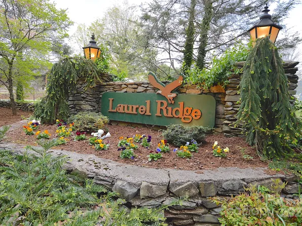 1587 Eagles Nest Rd, Waynesville, NC 28786