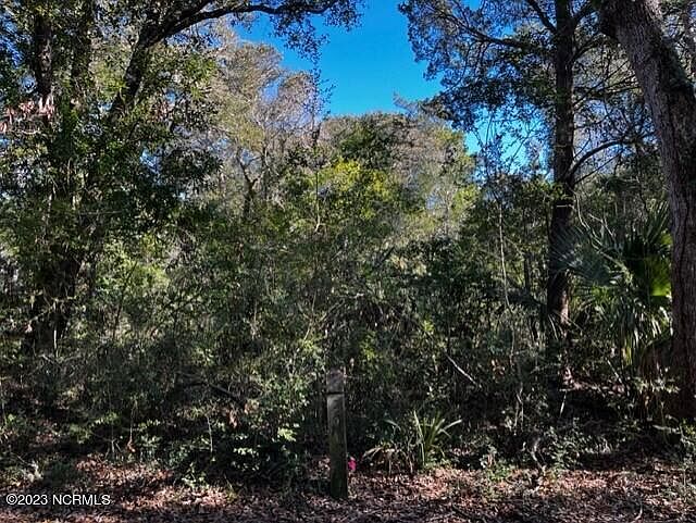 1st image of 20 Three Flipper Trail