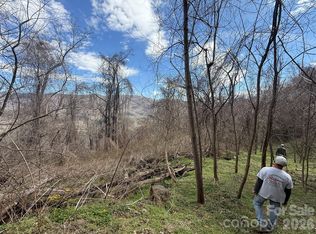 0 Caldwell Mountain Rd, Hot Springs, NC 28743