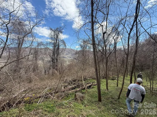 0 Caldwell Mountain Rd, Hot Springs, NC 28743