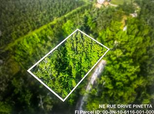 0 NE Rue Dr, Pinetta, FL 32350