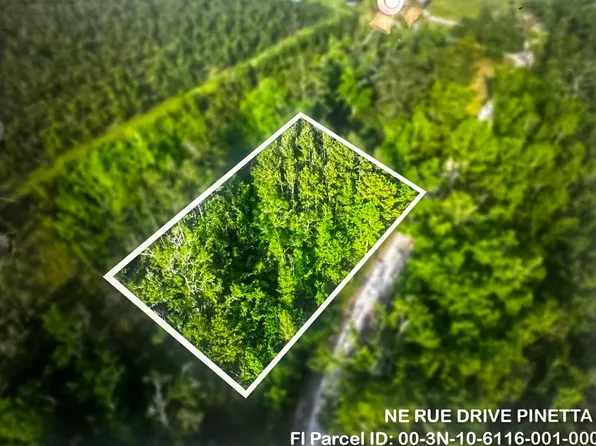0 NE Rue Dr, Pinetta, FL 32350