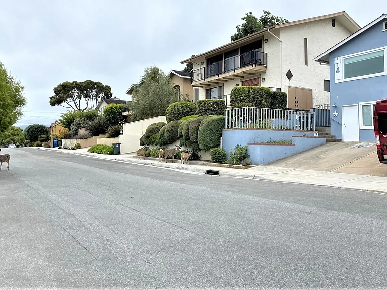 Studio Door Street View with On Street Parking Only - No Permit required for DEER Watching