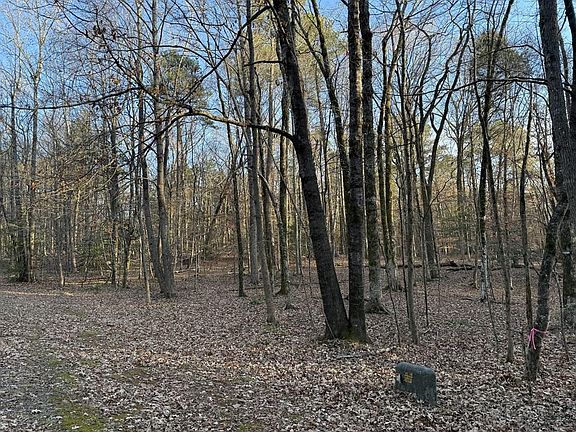 2nd image of 0 Woodland Rd