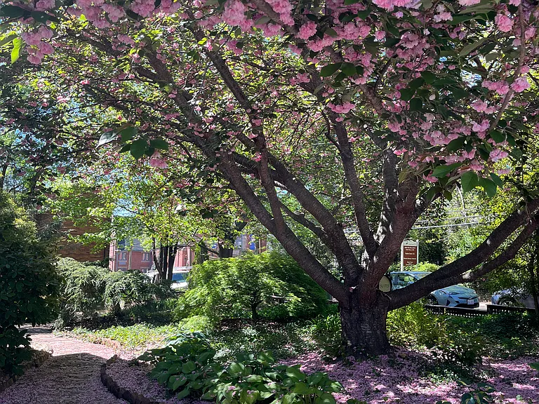 147 E Chestnut St #8 — Photo 17