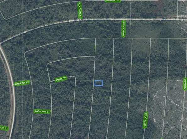6644 Persis Dr Lot 19, Sebring, FL 33872