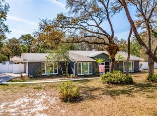11208 Leprechaun Dr, Riverview, FL 33569