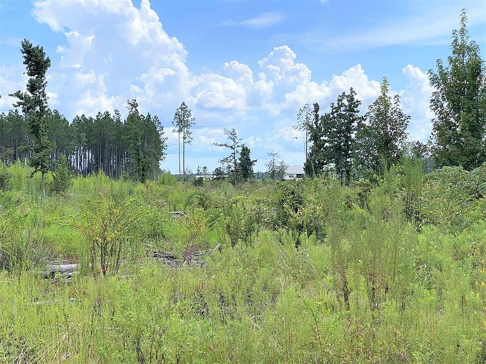 2nd image of 455 Douglas Landing Rd