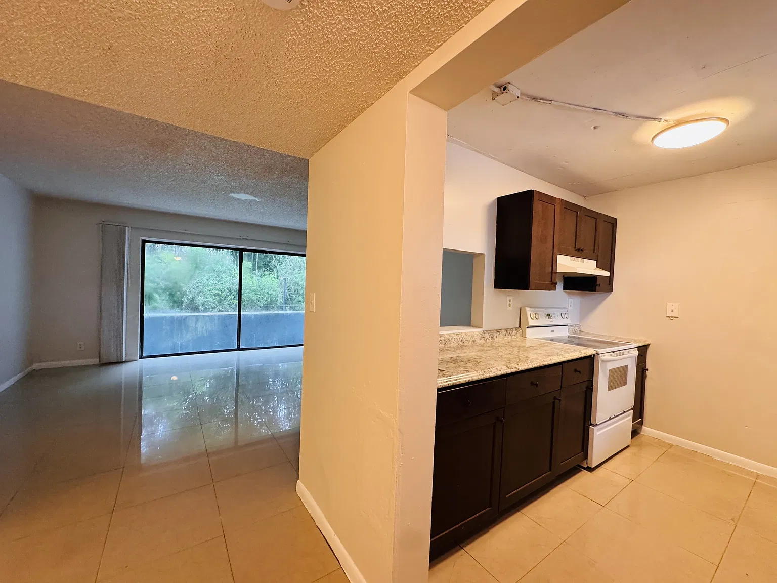 254 Pineview Drive - 1 — Photo 4