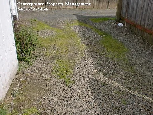 Orrf723.5 — Photo 2
