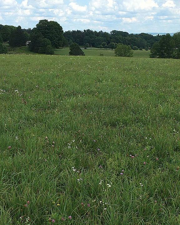 1st image of 1456 County Road 29