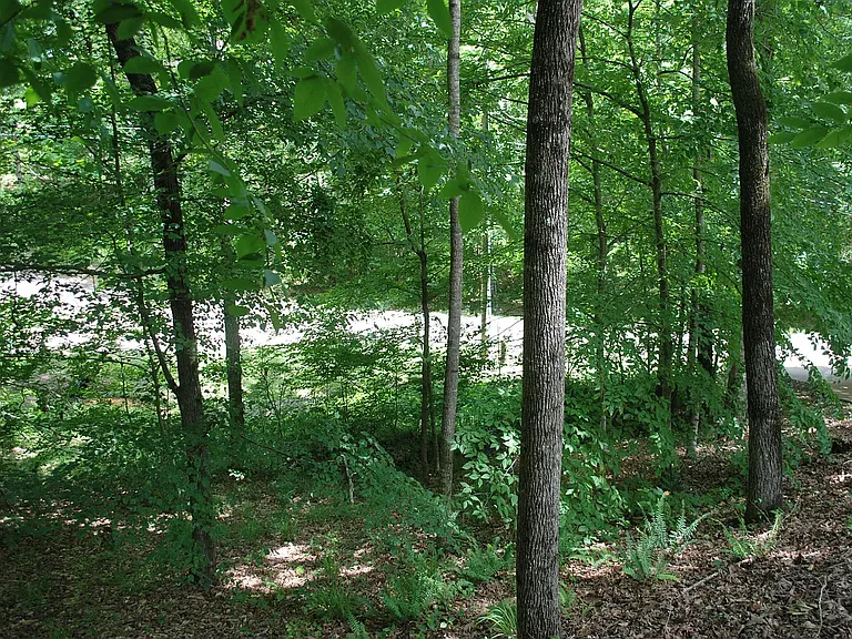 165 Deer Run — Photo 41