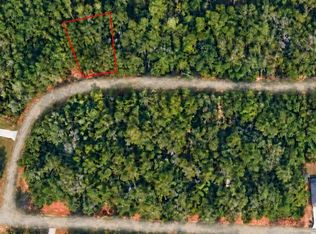 619 E Byrd Loop LOT 32, Dunnellon, FL 34434