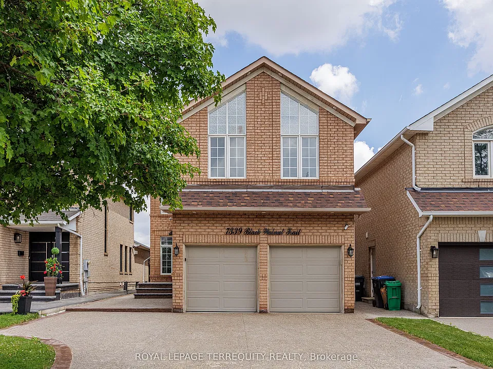 7339 Black Walnut Trl