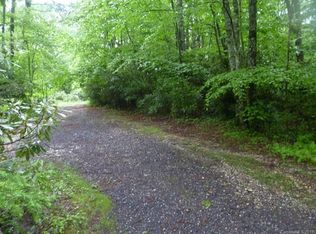 0 Otter Ln, Little Switzerland, NC 28749