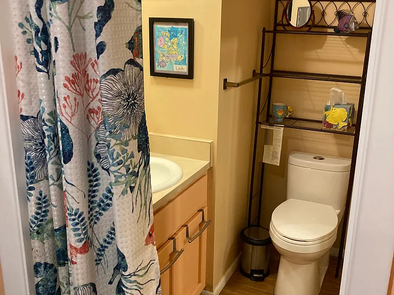 581 Duck Ct #1 — Photo 6
