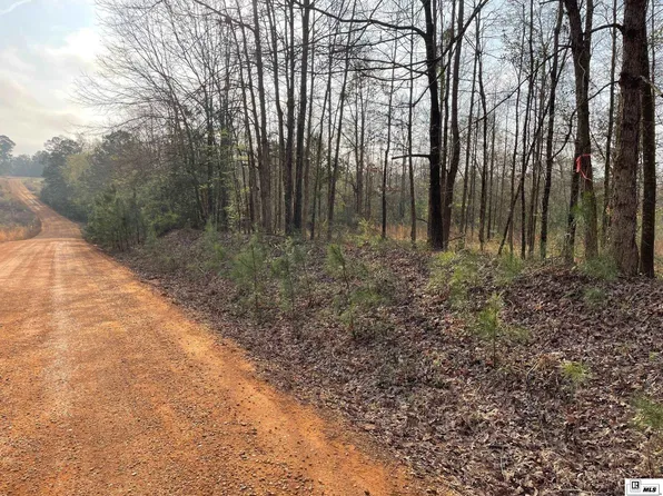 0 Zion Hill Church Rd, Farmerville, LA 71241