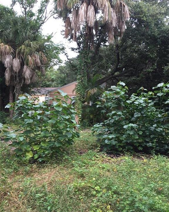 2nd image of 1980 W Sand Dollar Ln