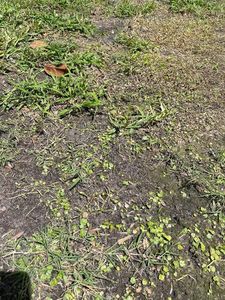 1065 WHISPERING CREEK WAY LOT 56, Osteen, FL, 32764